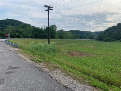Acreage for Sale on Hwy 90 in Cumberland County, KY - image 2