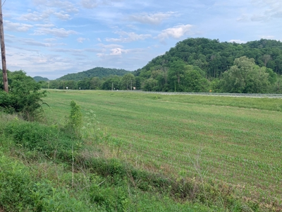 Acreage for Sale on Hwy 90 in Cumberland County, KY - image 11