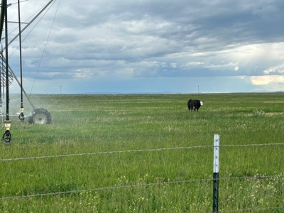 Eastern Oregon Sunset Valley Ranch - Located outside Burns - image 23