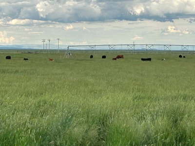 Eastern Oregon Sunset Valley Ranch - Located outside Burns - image 25
