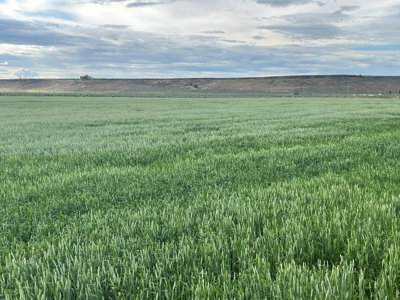 Eastern Oregon Sunset Valley Ranch - Located outside Burns - image 22