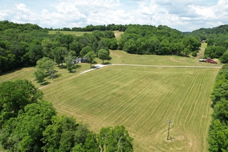 Farm For Sale Near Nashville Tn, Lynnville Tn With Nice Home - image 11