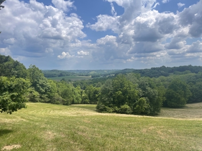 Farm For Sale Near Nashville Tn, Lynnville Tn With Nice Home - image 34