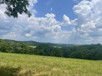Farm For Sale Near Nashville Tn, Lynnville Tn With Nice Home - image 33