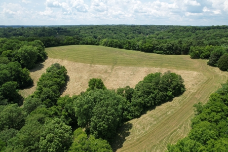 Farm For Sale Near Nashville Tn, Lynnville Tn With Nice Home - image 8