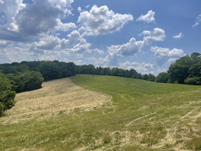 Farm For Sale Near Nashville Tn, Lynnville Tn With Nice Home - image 32