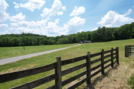 Farm For Sale Near Nashville Tn, Lynnville Tn With Nice Home - image 3
