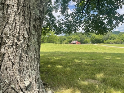Farm For Sale Near Nashville Tn, Lynnville Tn With Nice Home - image 30
