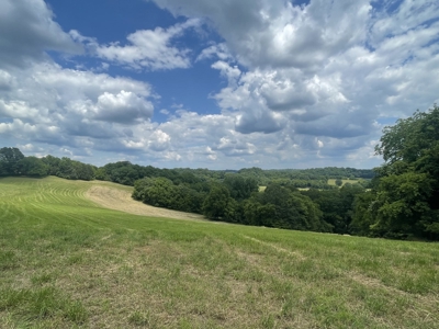 Farm For Sale Near Nashville Tn, Lynnville Tn With Nice Home - image 35