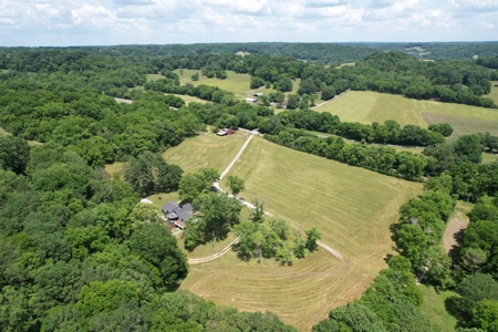 Farm For Sale Near Nashville Tn, Lynnville Tn With Nice Home - image 10