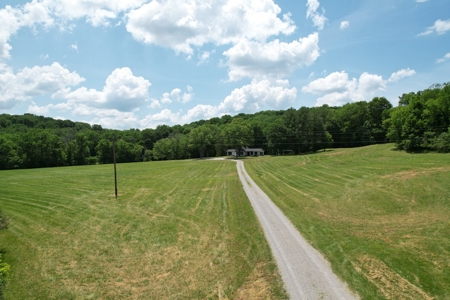 Farm For Sale Near Nashville Tn, Lynnville Tn With Nice Home - image 4