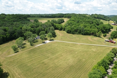 Farm For Sale Near Nashville Tn, Lynnville Tn With Nice Home - image 9