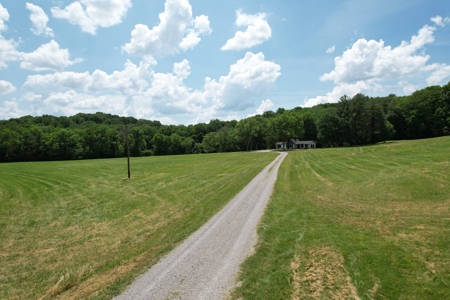Farm For Sale Near Nashville Tn, Lynnville Tn With Nice Home - image 13