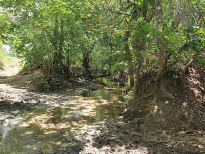 67 Hectares of prime land in Anton, on Via Interamericana - image 5