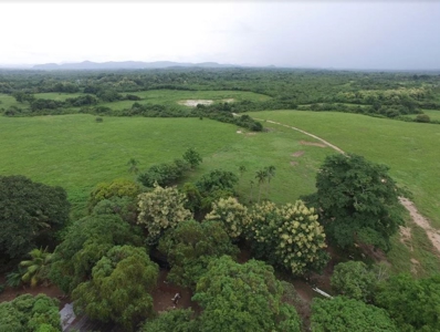67 Hectares of prime land in Anton, on Via Interamericana - image 9