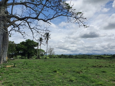 67 Hectares of prime land in Anton, on Via Interamericana - image 4