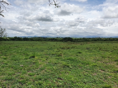 67 Hectares of prime land in Anton, on Via Interamericana - image 2