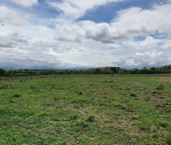 Prime land, Anton, on Via Interamericana starting at 11 Acre - image 3