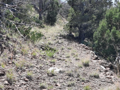 Remote 7.5 Acre Off-Grid Mountain Property - image 5