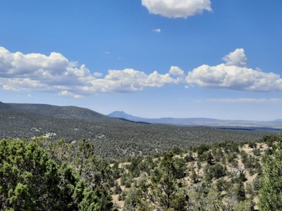 Remote 7.5 Acre Off-Grid Mountain Property - image 2