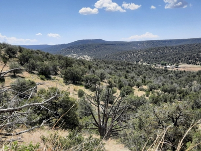 Remote 7.5 Acre Off-Grid Mountain Property - image 8