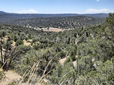 Remote 7.5 Acre Off-Grid Mountain Property - image 9