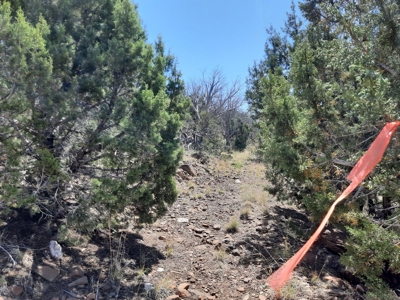 Remote 7.5 Acre Off-Grid Mountain Property - image 6