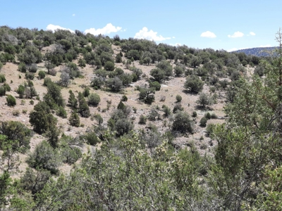 Remote 7.5 Acre Off-Grid Mountain Property - image 10