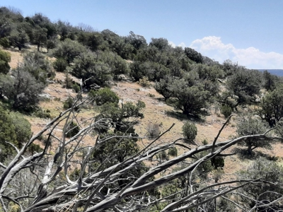 Remote 7.5 Acre Off-Grid Mountain Property - image 7