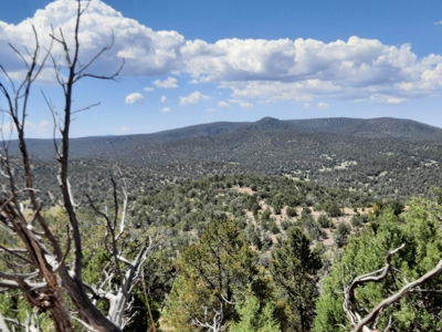 Remote 7.5 Acre Off-Grid Mountain Property - image 1