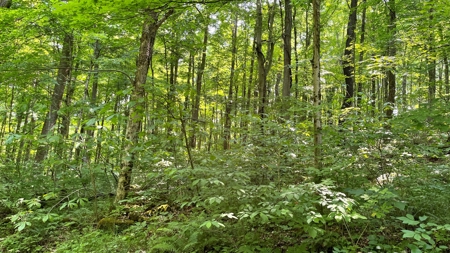 Washington County Ohio Land for Sale - image 7