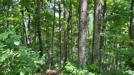 Washington County Ohio Land for Sale - image 10