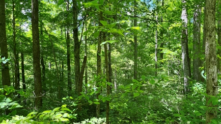 Washington County Ohio Land for Sale - image 16