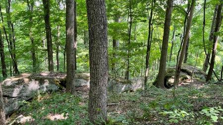 Washington County Ohio Land for Sale - image 1