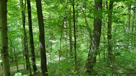 Washington County Ohio Land for Sale - image 18