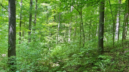 Washington County Ohio Land for Sale - image 21