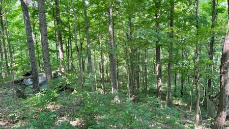 Washington County Ohio Land for Sale - image 9