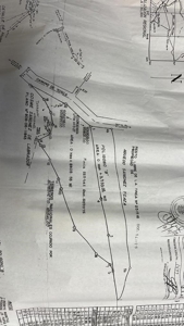 Great investment potential Land in La Laguna de San Carlos - image 2