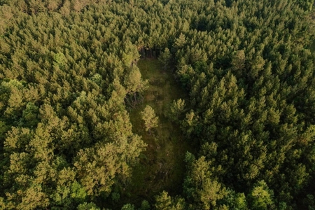 156 Acres for Sale Hunting Land in Pearl River County, MS - image 4