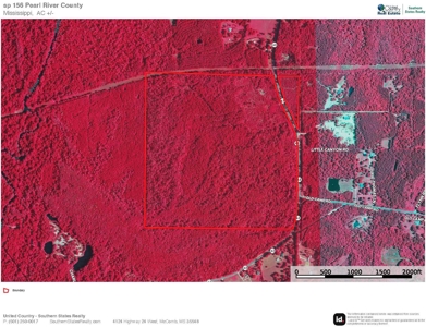 156 Acres for Sale Hunting Land in Pearl River County, MS - image 30