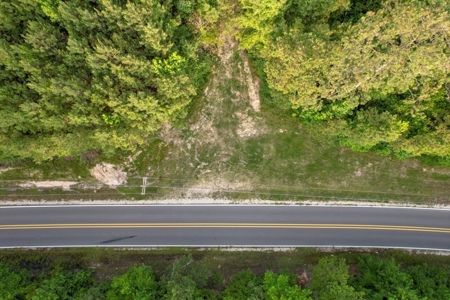 156 Acres for Sale Hunting Land in Pearl River County, MS - image 2