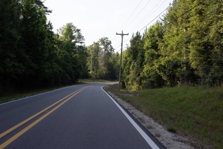156 Acres for Sale Hunting Land in Pearl River County, MS - image 8