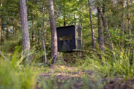 156 Acres for Sale Hunting Land in Pearl River County, MS - image 11