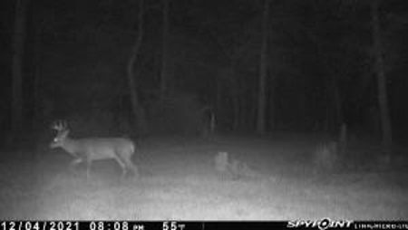 156 Acres for Sale Hunting Land in Pearl River County, MS - image 26