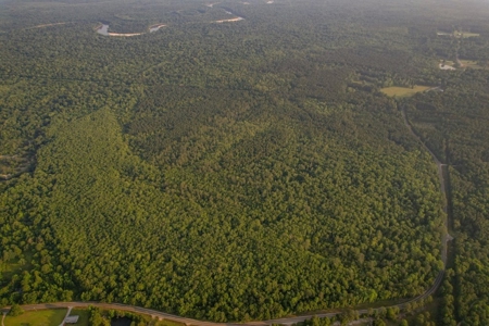 156 Acres for Sale Hunting Land in Pearl River County, MS - image 5