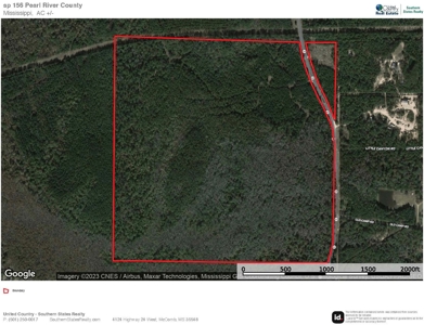 156 Acres for Sale Hunting Land in Pearl River County, MS - image 28