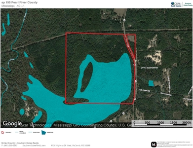 156 Acres for Sale Hunting Land in Pearl River County, MS - image 29