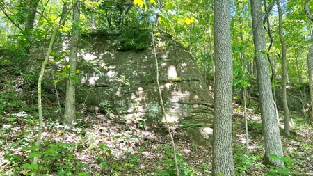 Jackson County Ohio Land for Sale - image 13