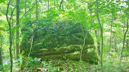 Jackson County Ohio Land for Sale - image 12