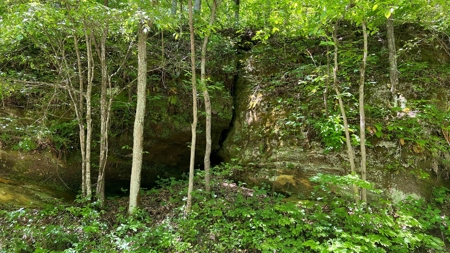 Jackson County Ohio Land for Sale - image 6
